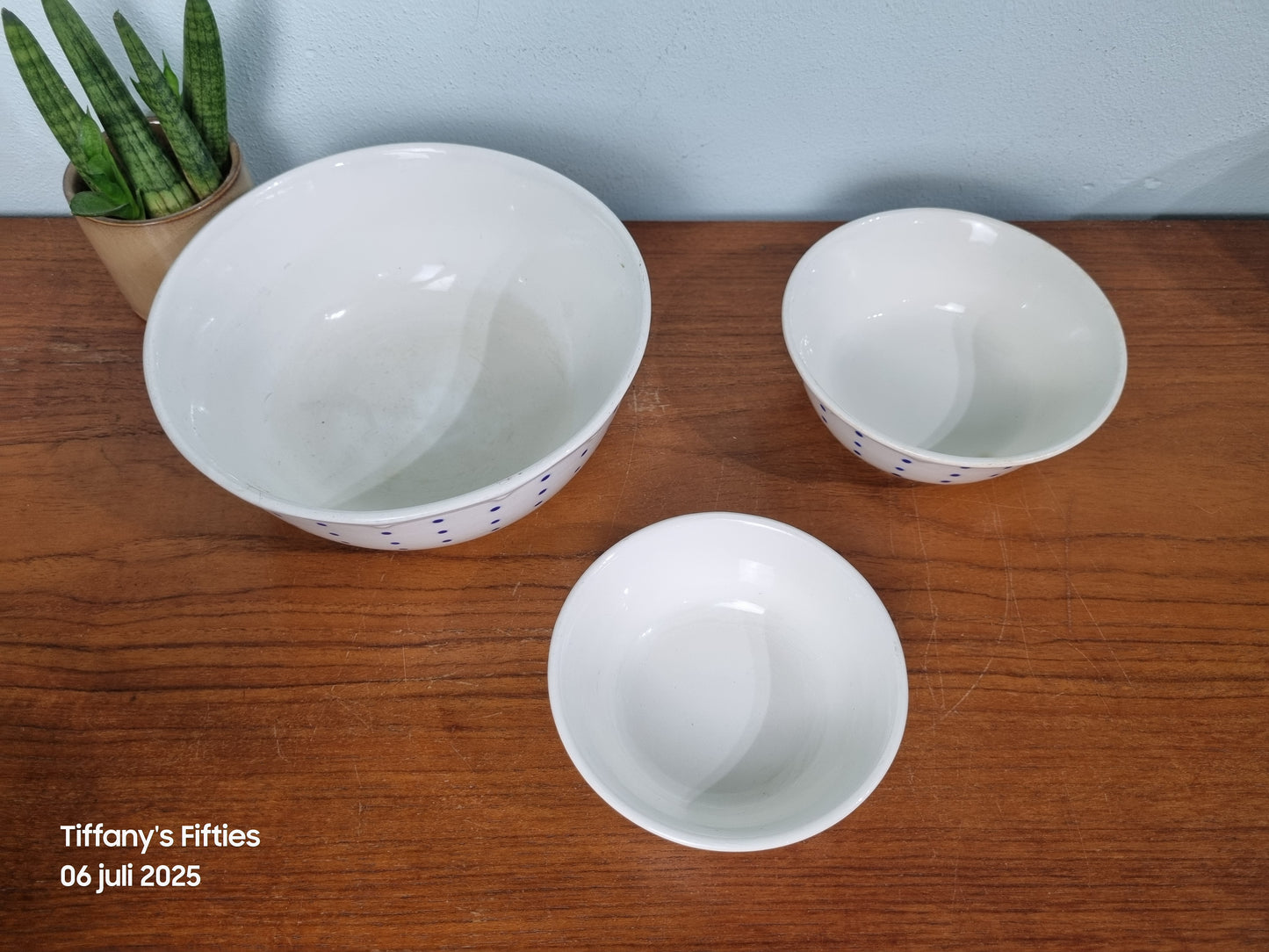 Set 3 schalen Boch "Festival" - blauwe stippen