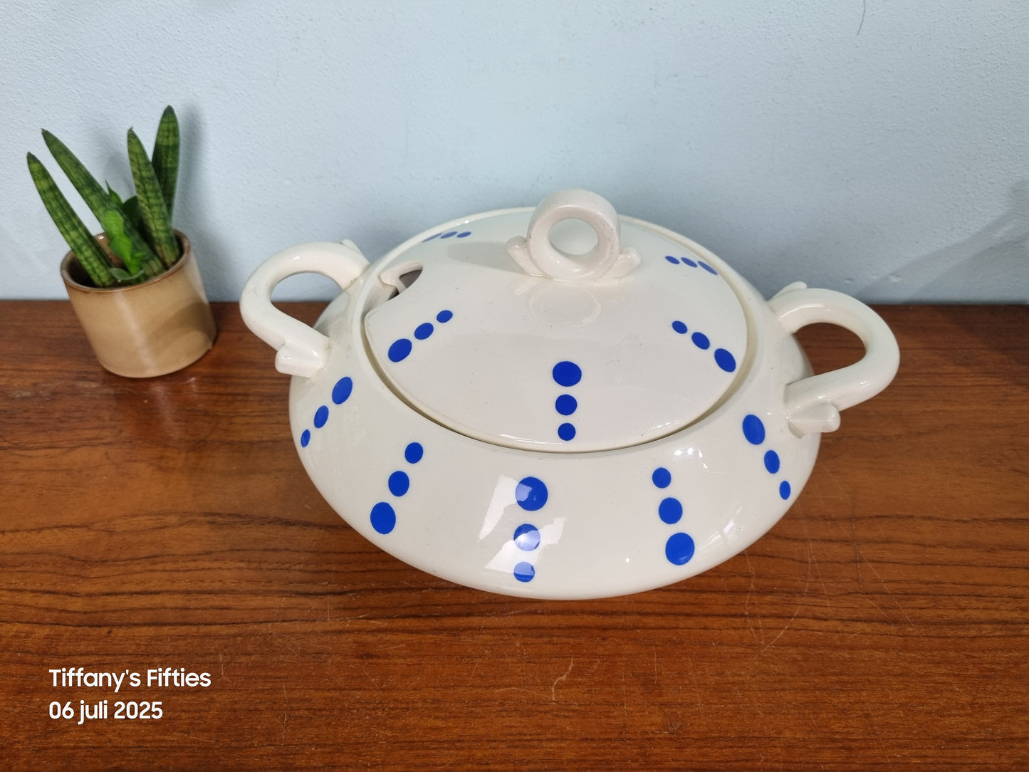 Vintage soepterrine - blauwe stippen