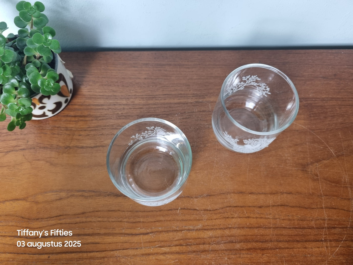 Set van 2 glazen haan en pauw