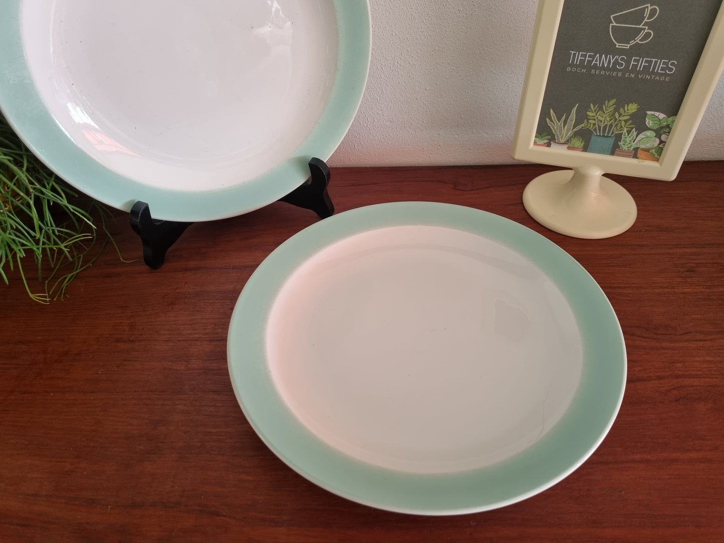 Dinerbord Sphinx pastelgroene rand