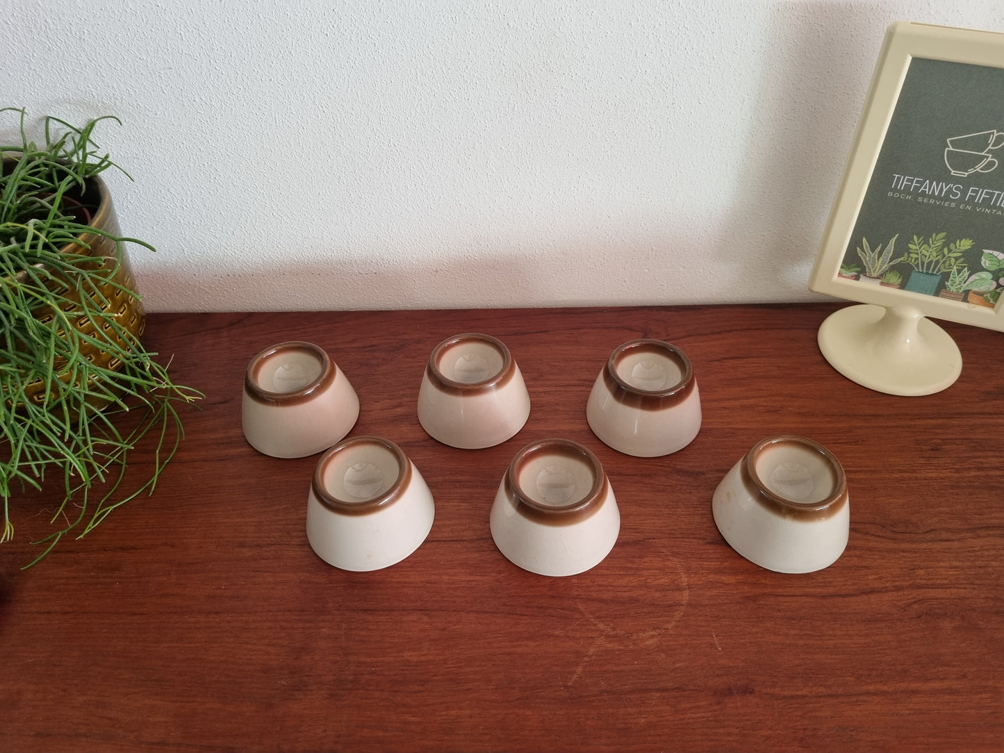 Engels eierdopje grijs-bruin