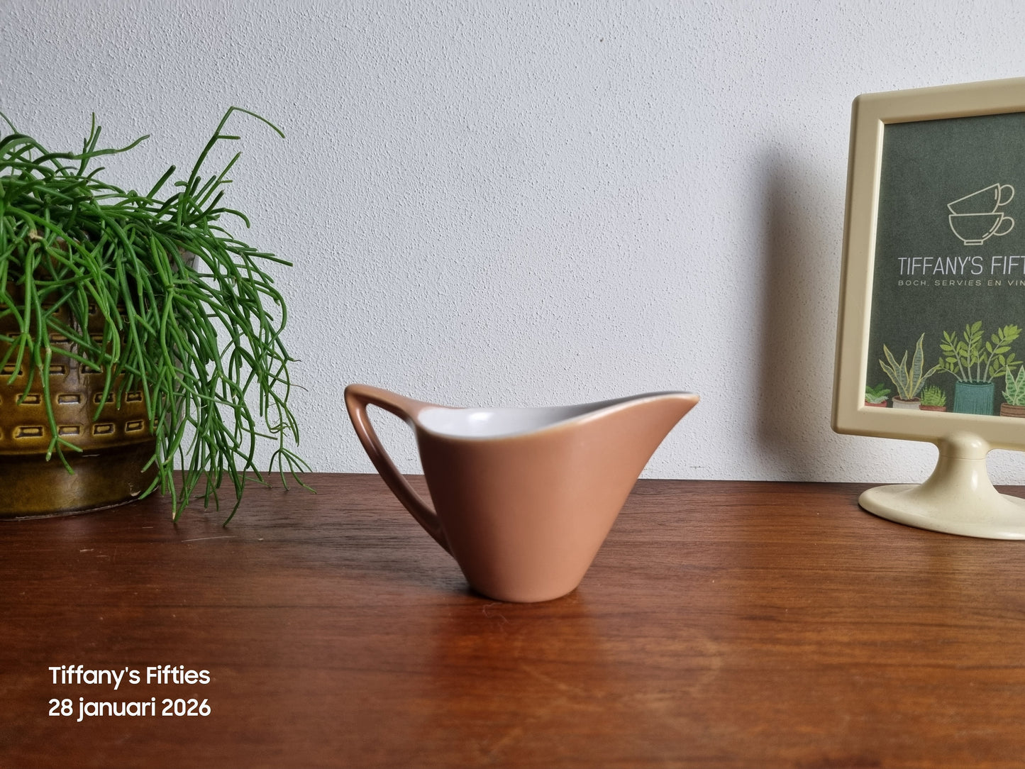 Melkkan Huizen Holland Tulipe