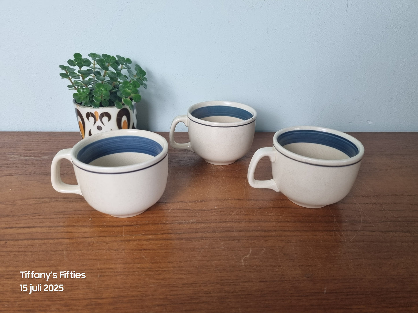 Kopje Boch "Menuet" Viking