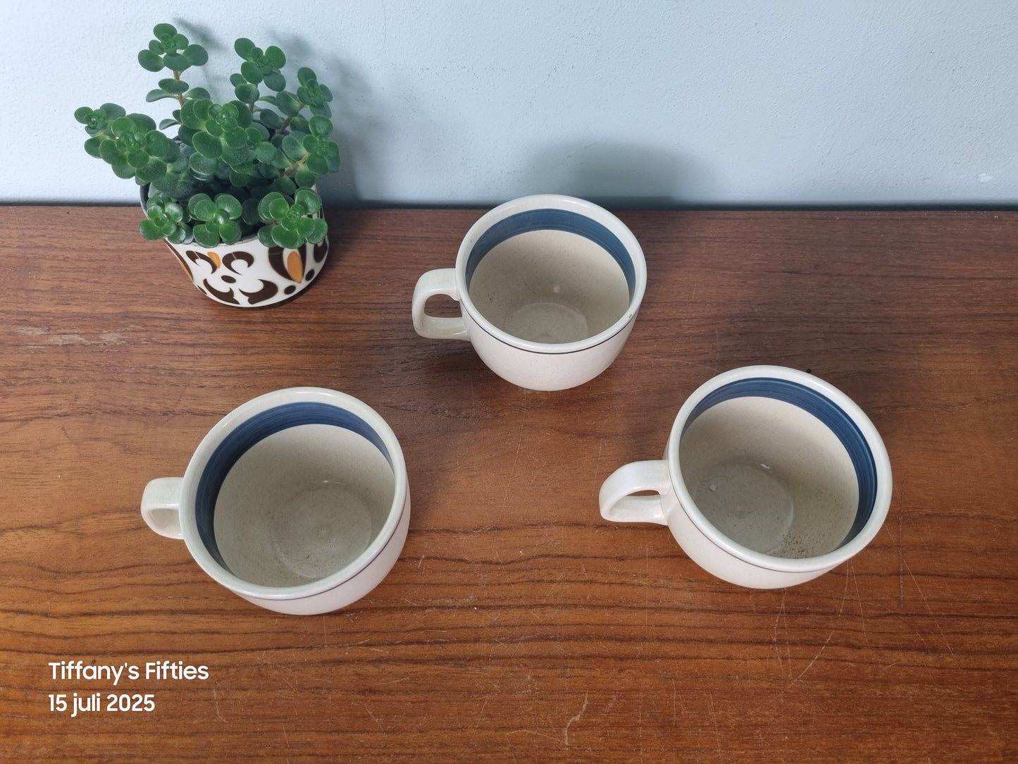 Kopje Boch "Menuet" Viking