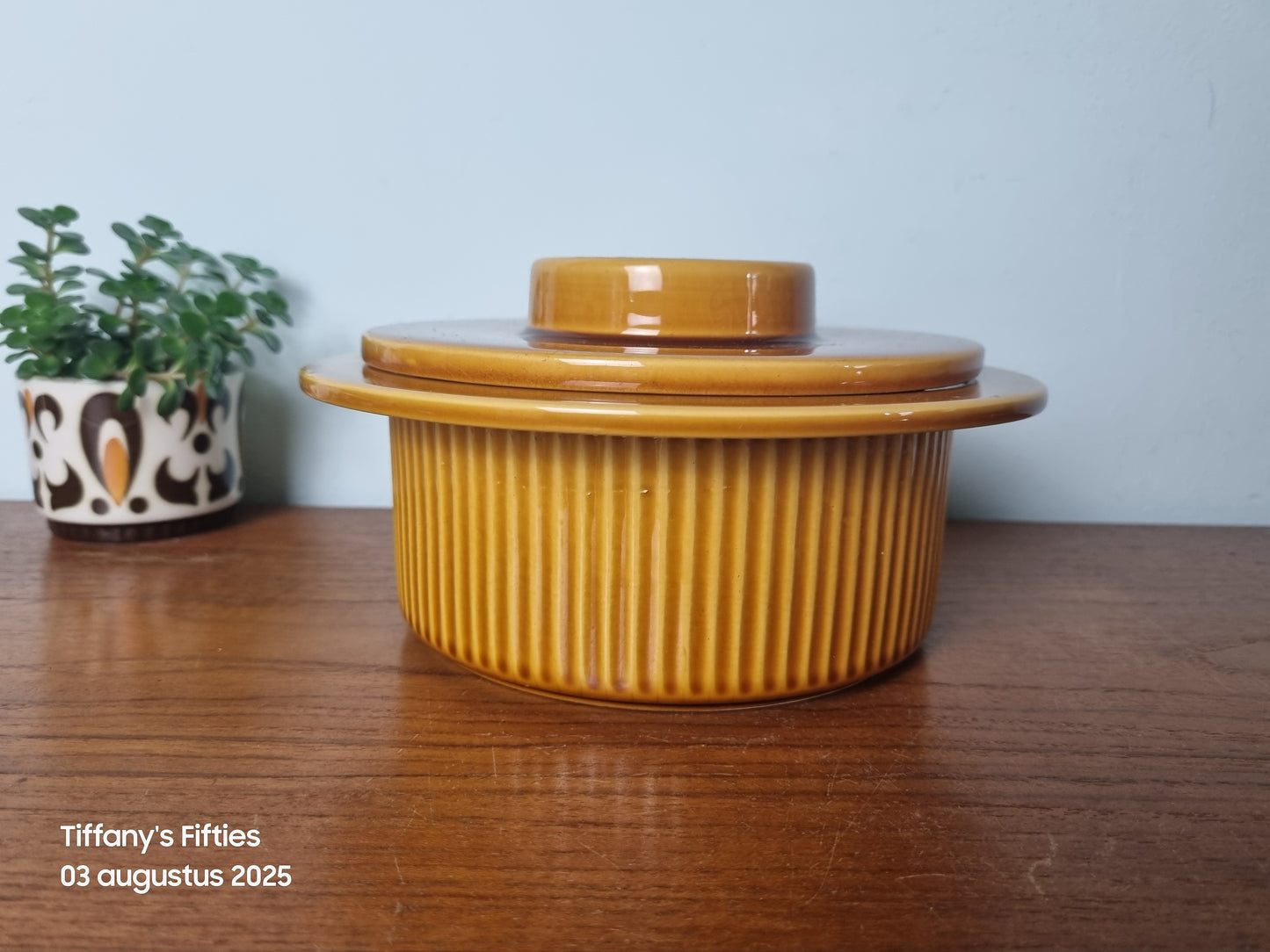 Dekschaal Huizen – Holland, serie Noovo