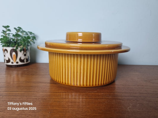 Dekschaal Huizen – Holland, serie Noovo