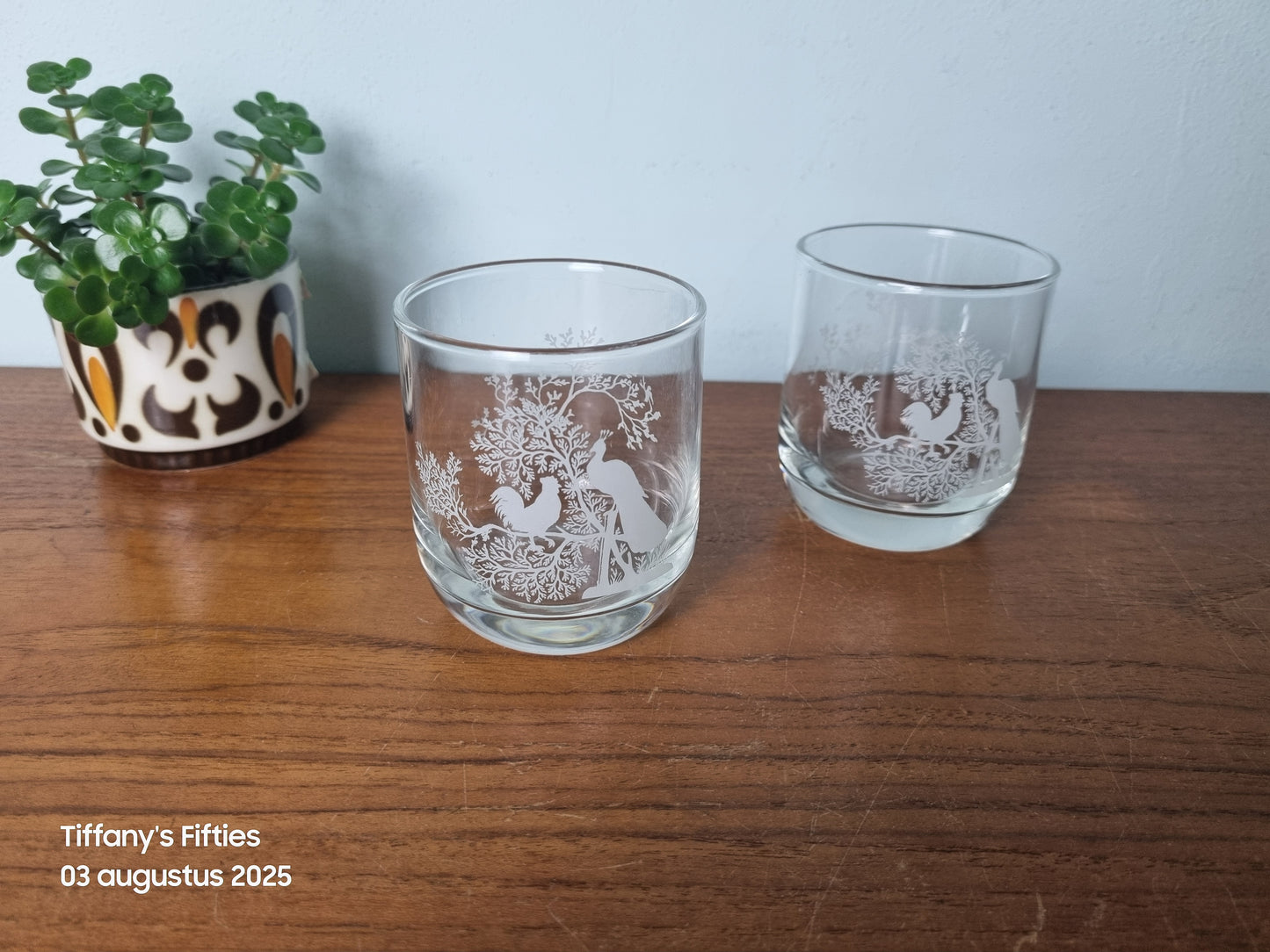 Set van 2 glazen haan en pauw