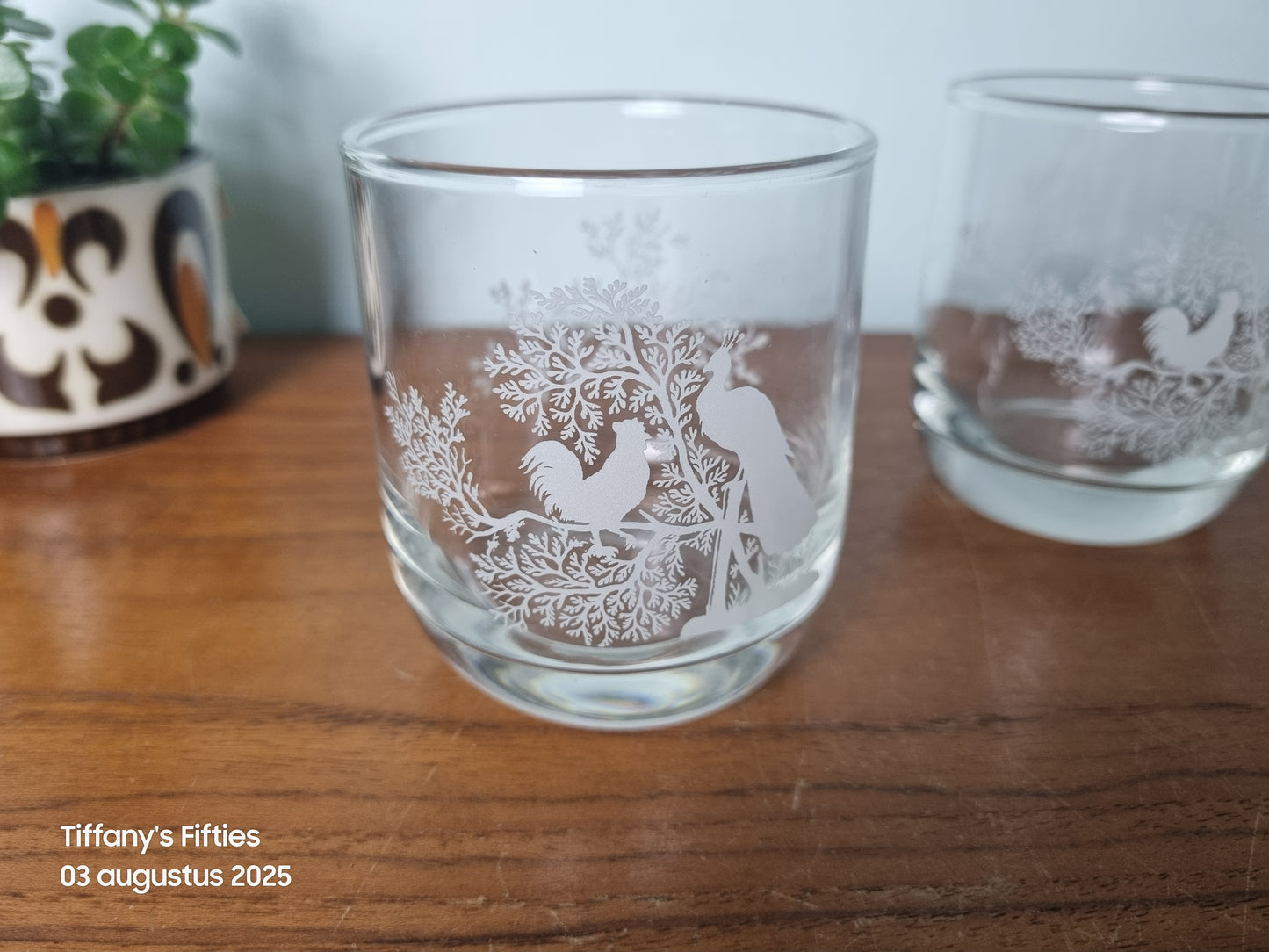 Set van 2 glazen haan en pauw