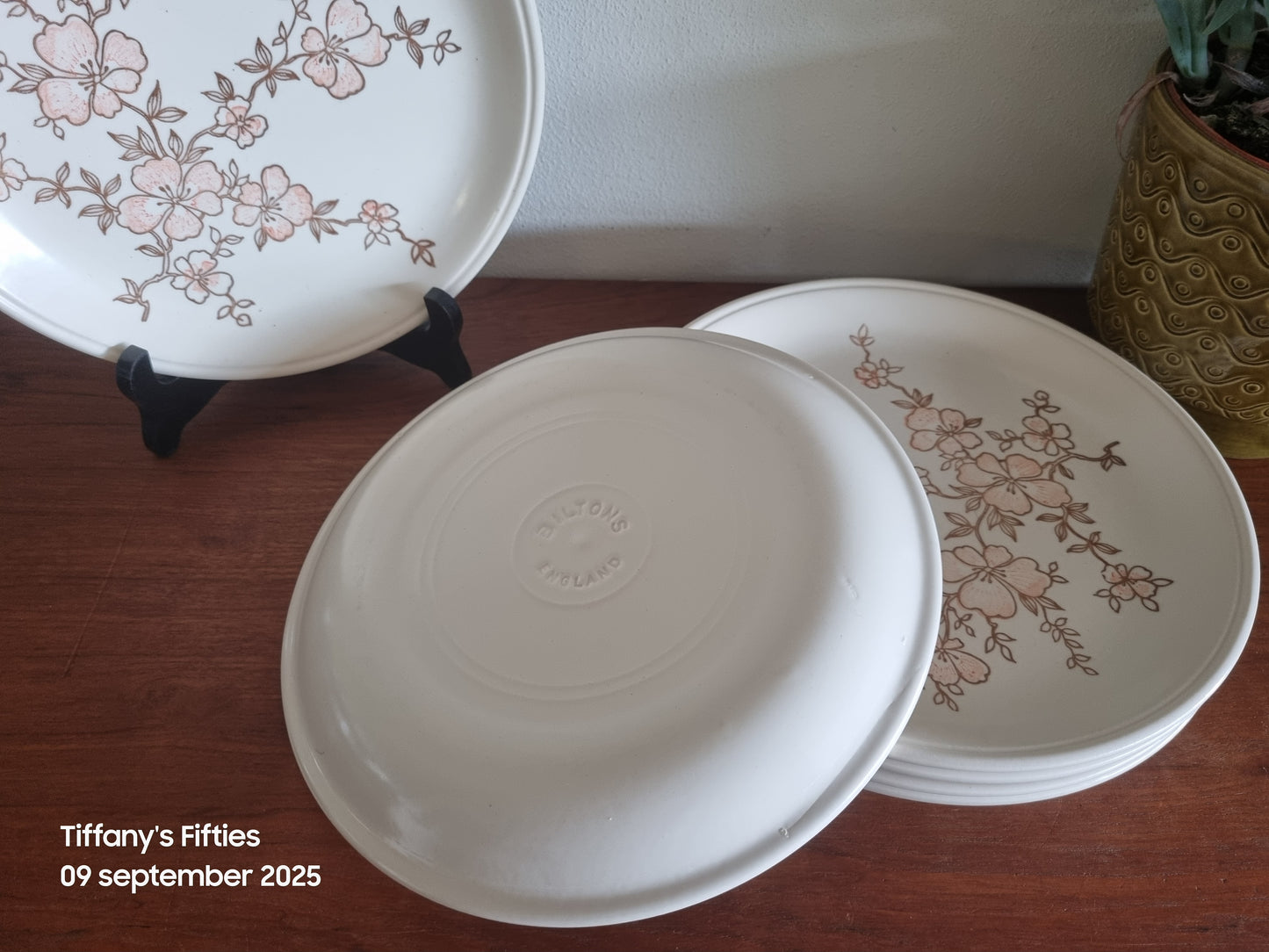 Dinerbord Biltons England kersenbloesem