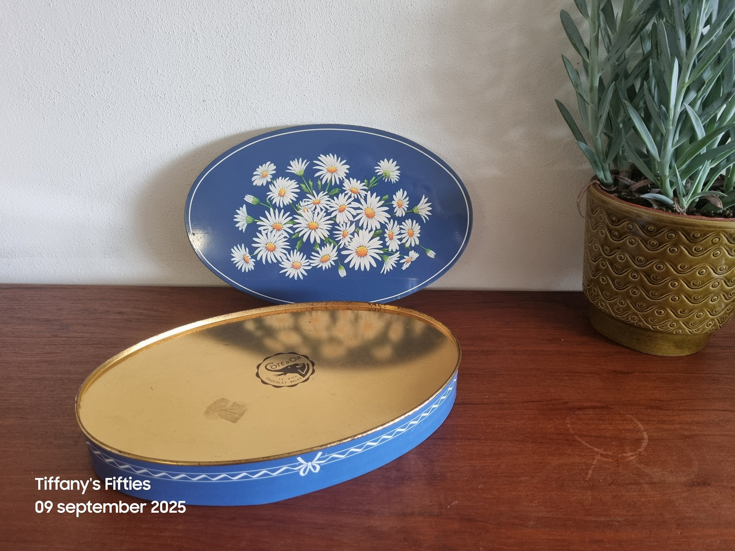 Ovalen koekjesblik blauwe met madeliefjes