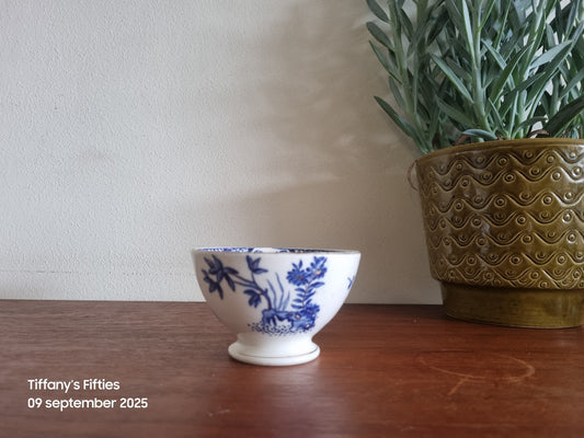 Spoelkom P. Regout Nankin