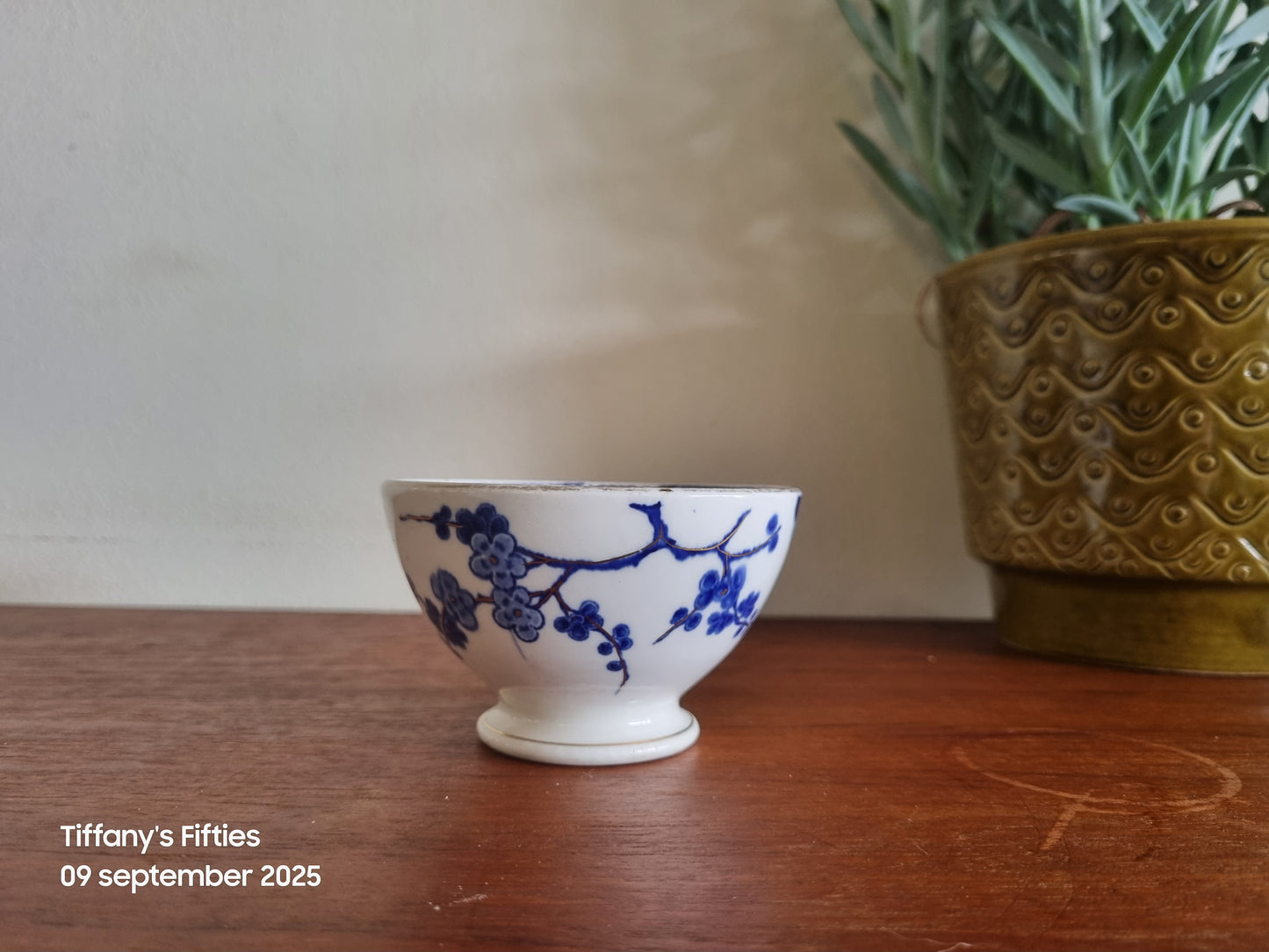 Spoelkom P. Regout Nankin