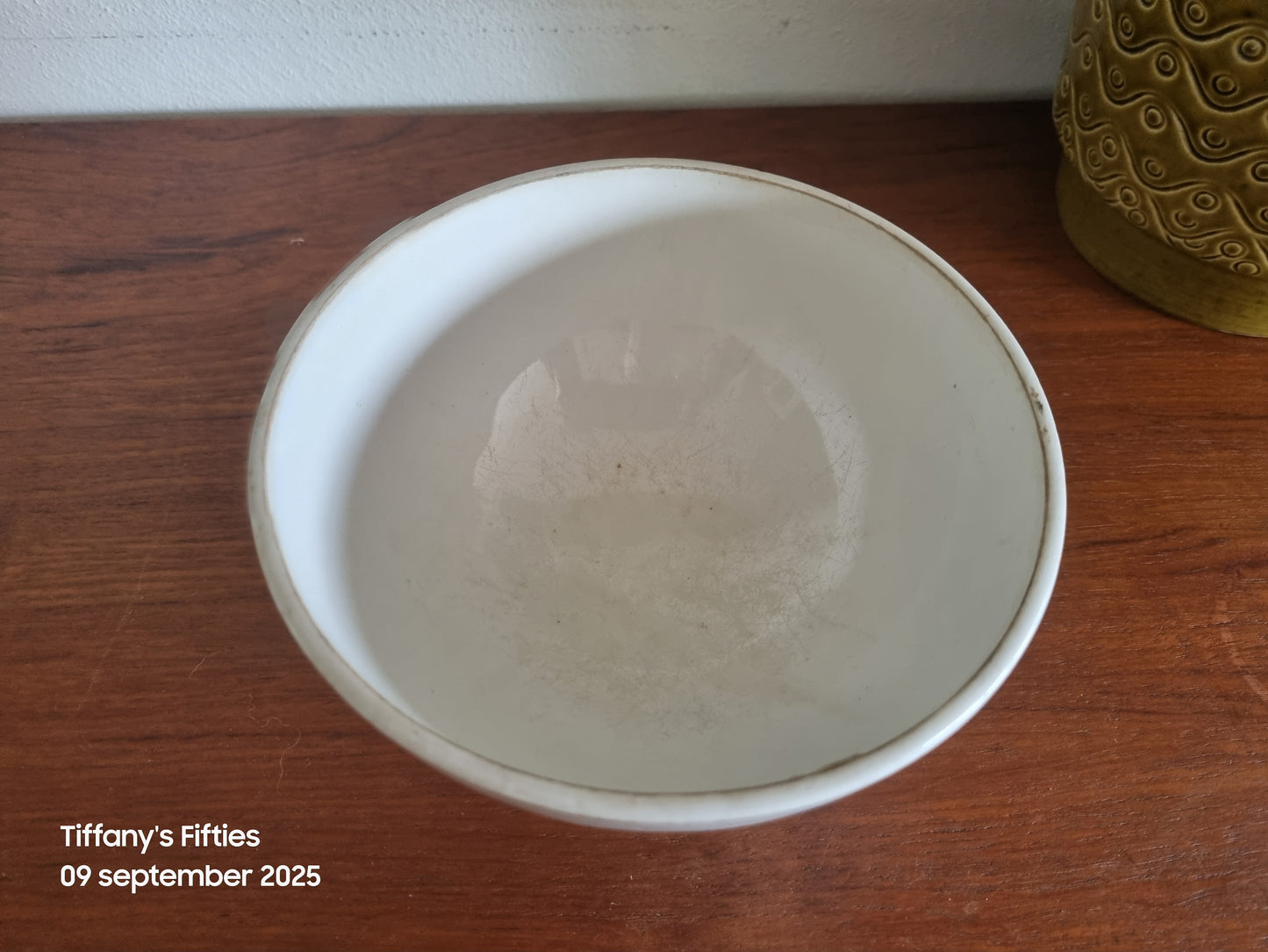 Grote facetspoelkom sierlijke vogel