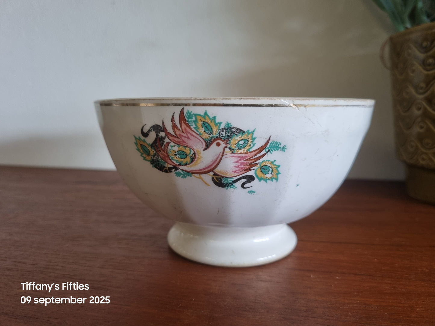 Grote facetspoelkom sierlijke vogel