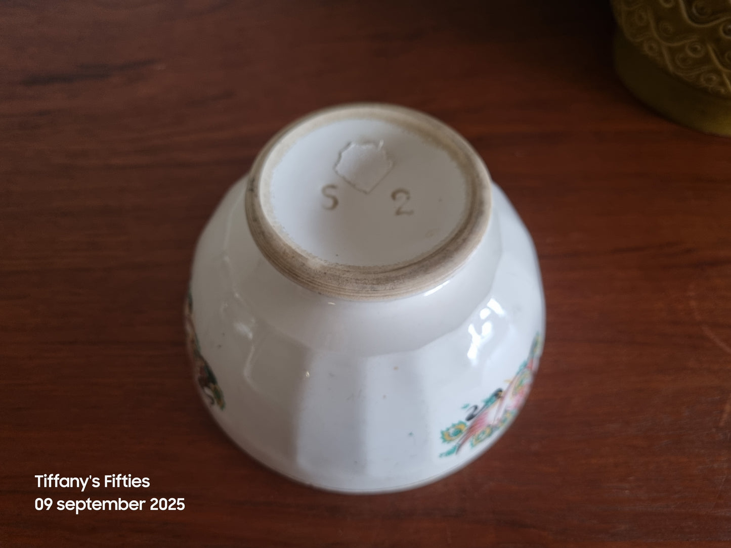 Grote facetspoelkom sierlijke vogel