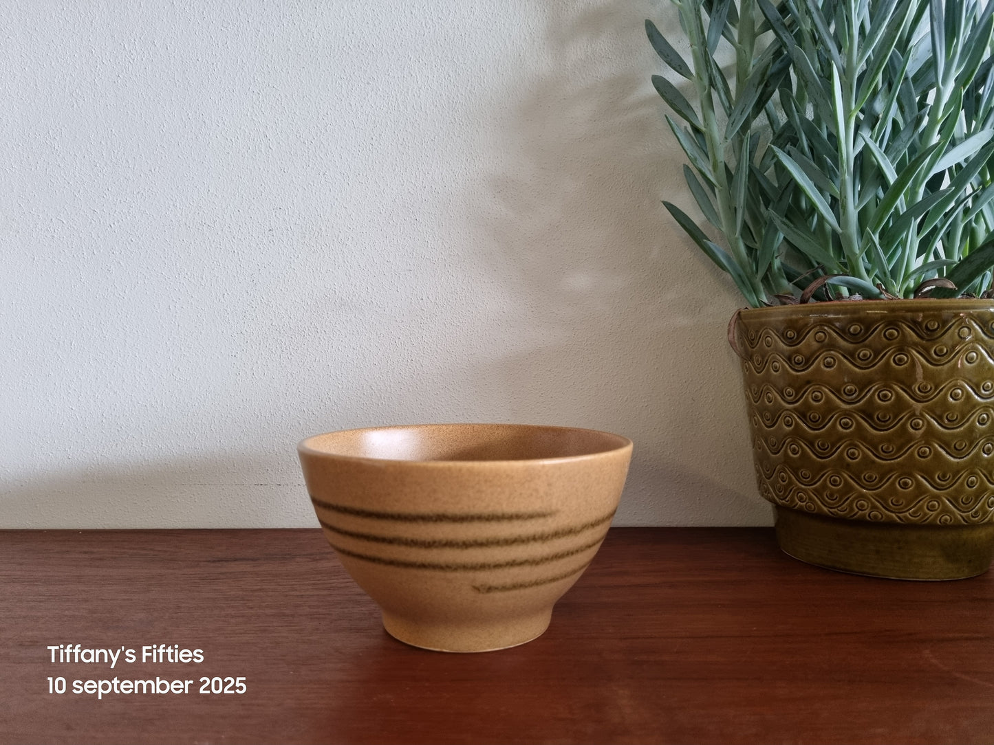 Bruine spoelkom Sarreguemines