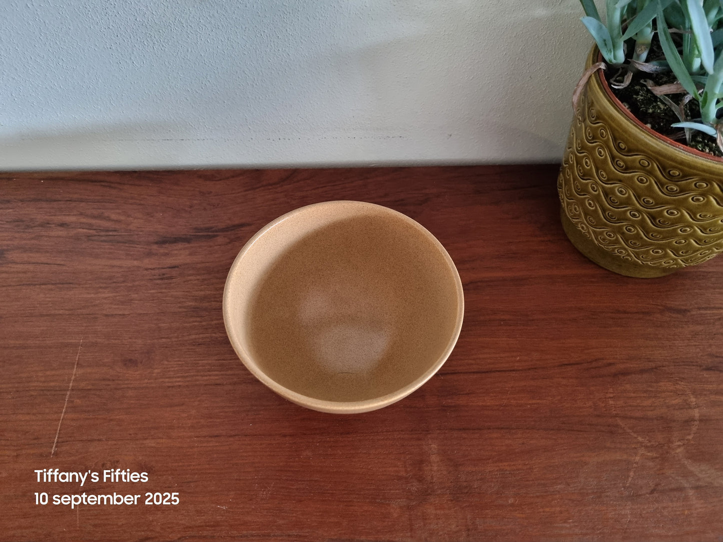 Bruine spoelkom Sarreguemines