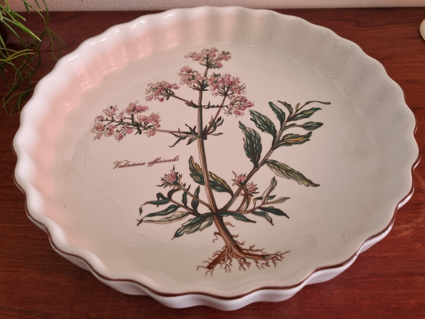 Villeroy en Boch Parafour - Botanica