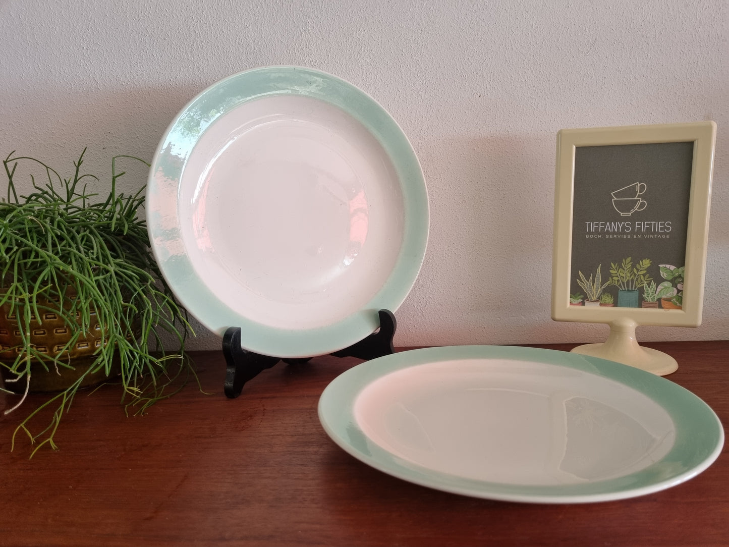 Dinerbord Sphinx pastelgroene rand