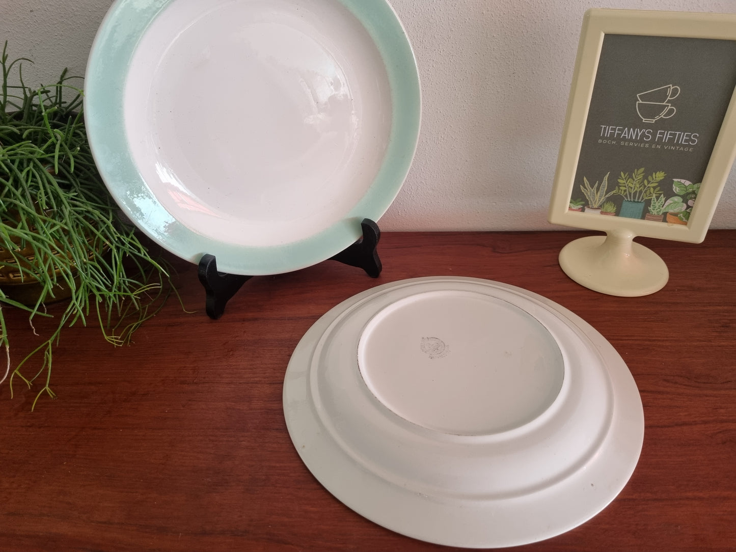 Dinerbord Sphinx pastelgroene rand