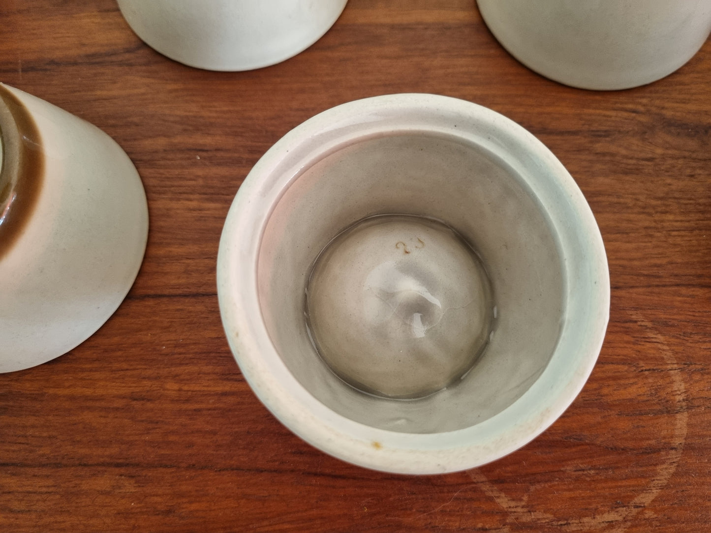 Engels eierdopje grijs-bruin