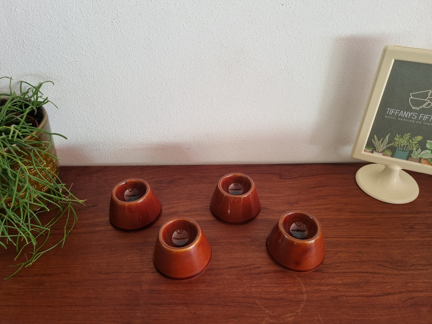 Engels eierdopje bruin