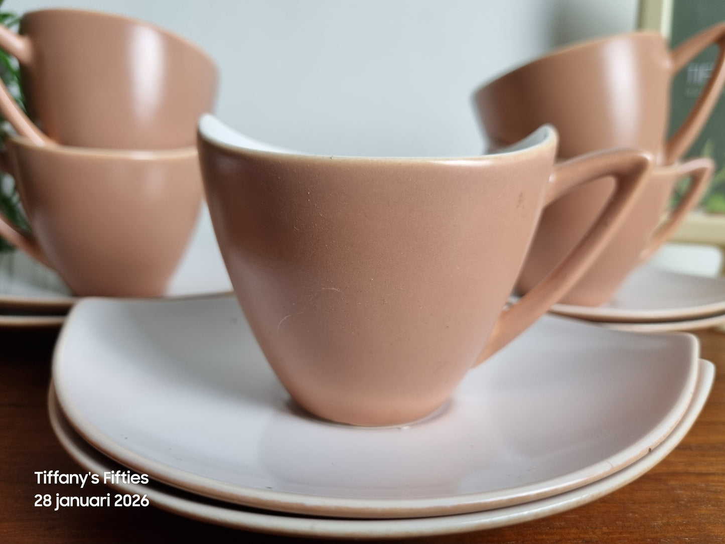 Kop-en-schotel Huizen Holland Tulipe