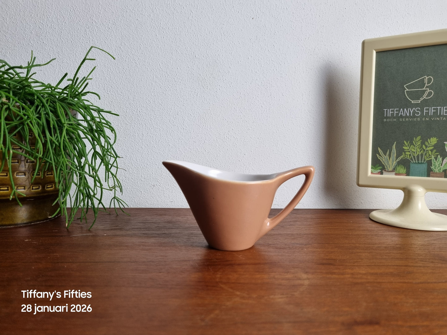 Melkkan Huizen Holland Tulipe