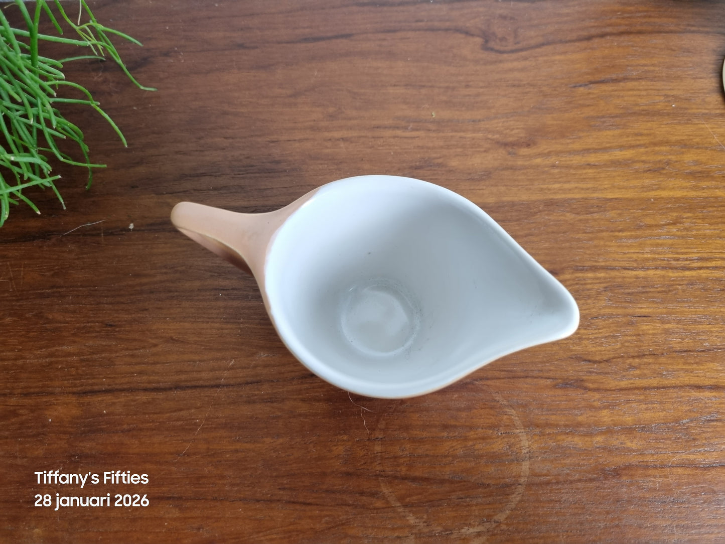 Melkkan Huizen Holland Tulipe