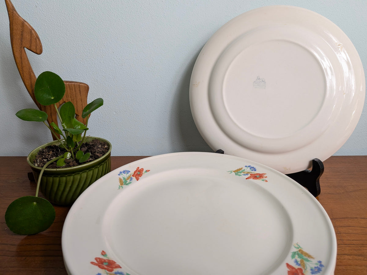 Dinerbord Petrus Regout Klaproos